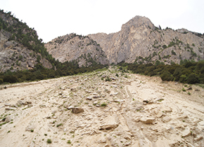 防山體滑坡